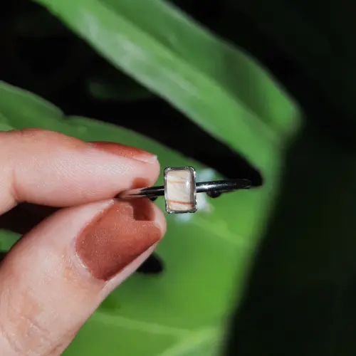 Anillo Ámbar — imagen 1