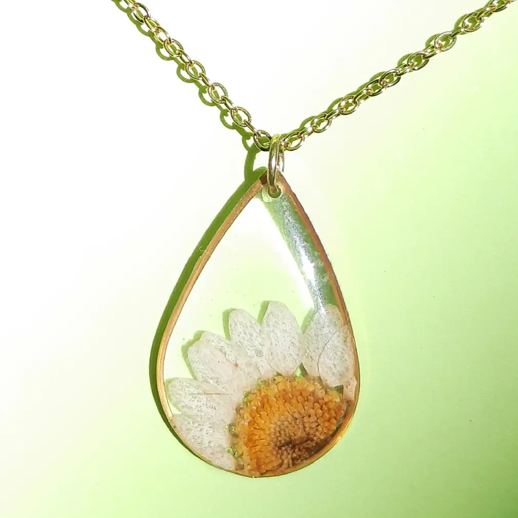 Dije Ámbar's photo #1