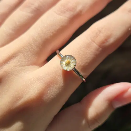 Anillo Ámbar's photo #1
