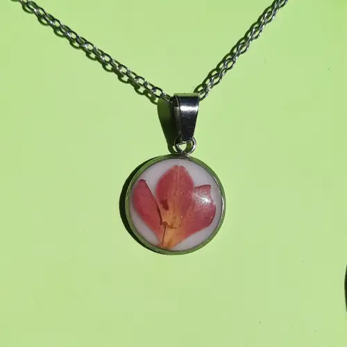 Dije Ámbar's photo #1