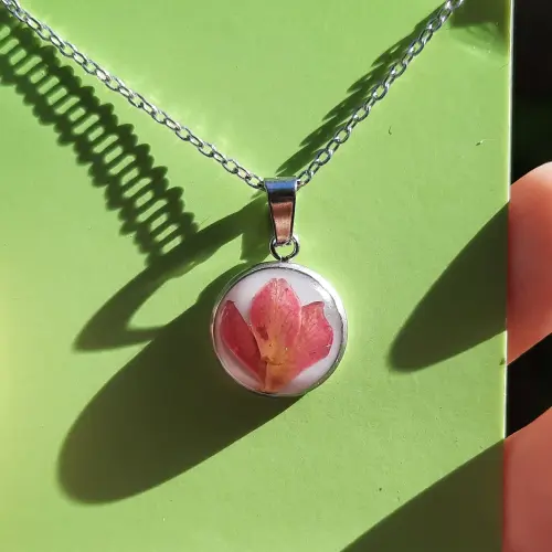 Dije Ámbar's photo #1