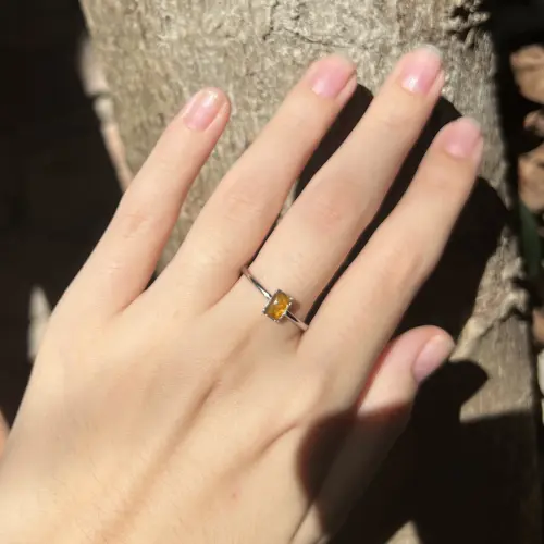 Anillo Ámbar's photo #2