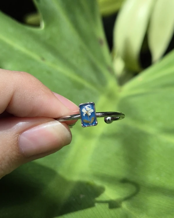 Anillo Ámbar's foto | Ámbar 🌿 |  BizneCubano