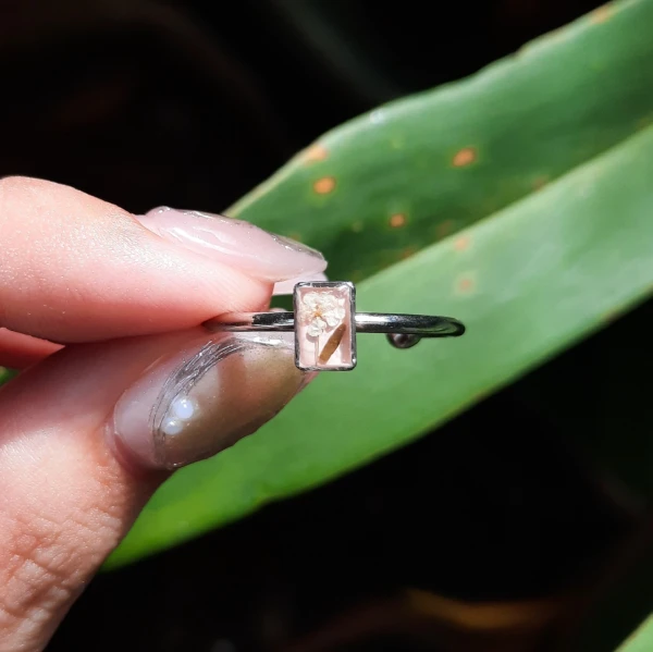 Anillo Ámbar's foto | Ámbar 🌿 |  BizneCubano