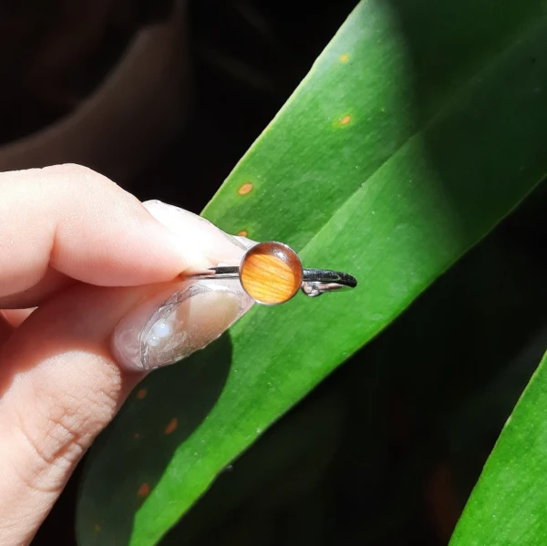 Anillo Ámbar's foto | Ámbar 🌿 |  BizneCubano