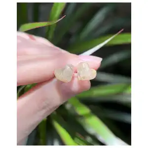 Aretes Ámbar miniatura 1
