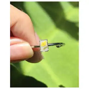 Anillo Ámbar miniatura 1