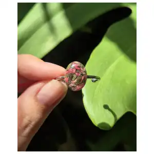 Anillo Ámbar 🍃 miniatura 1